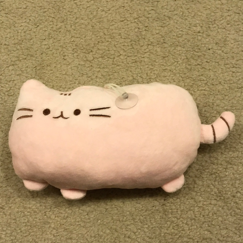 🌟 Final sale!! Pusheen pink window suction